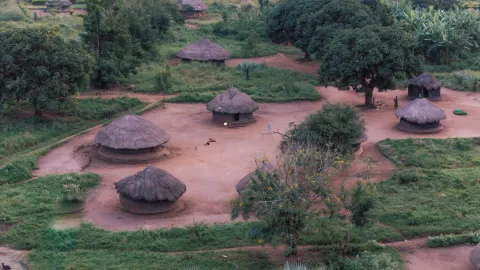 Village Compound