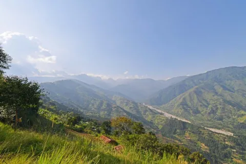 Rwenzori Valley